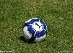 西班牙女足,主帅維爾達,世界杯夺冠,永利皇宫app官网,永利皇宫app平台,永利皇宫app体育,永利皇宫app