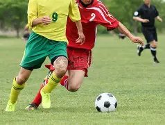 哪國代表參,加世界杯的,澤馬,永利皇宫app官网,永利皇宫app平台,永利皇宫app体育,永利皇宫app