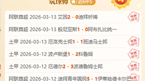 瑞士公开赛男单冠军：羽毛球天才五战皆捷，英勇表现夺眼球